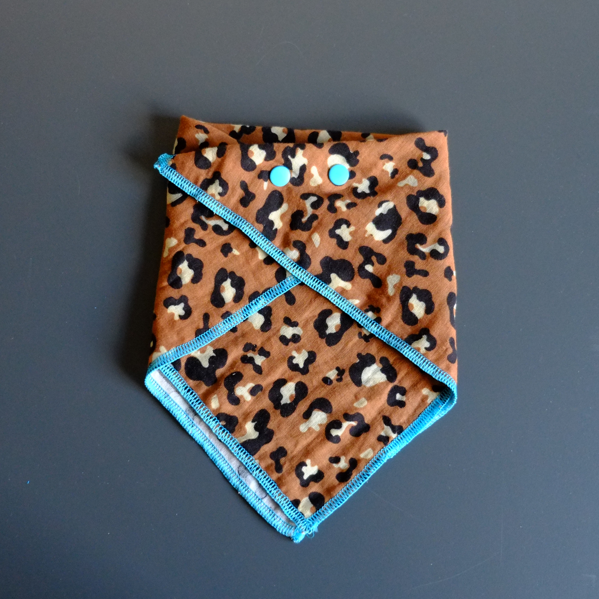 kindrei_leo_tuerkis_3_1200